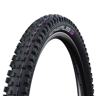 SCHW MAGIC MARY TRAIL PRO 29x2.5 US