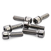 image of Gusset TS/S2 Stem Bolt Kit - Silver