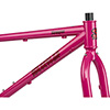 image of Krampus 29+ Frameset - Prickly Pear