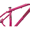 image of Krampus 29+ Frameset - Prickly Pear