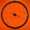 image of Halo Carbaura XCD 35mm Carbon Gravel wheel
