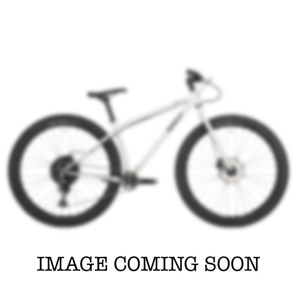 SURLY KRAMPUS DEORE BIKE Sm SILVER