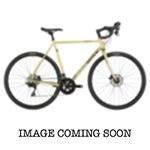 SURLY MN SPECIAL 1x HRD BIKE 46cm GOLD