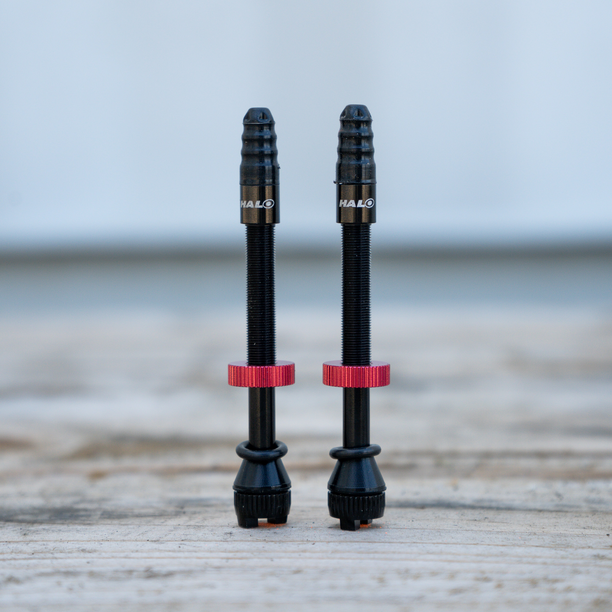 NEW! Halo Hi Flow Tubeless Valves